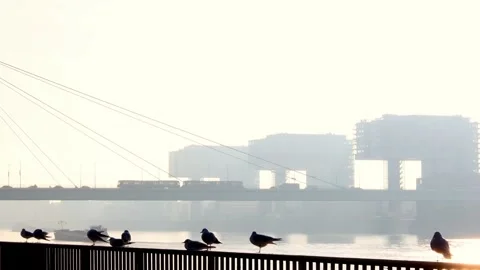 The rhine river and cologne in the winter sun 4k 30fps video Stock Footage 323396089