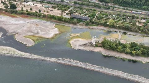 Rhine river - extraordinary low water level Stock Footage 342604354
