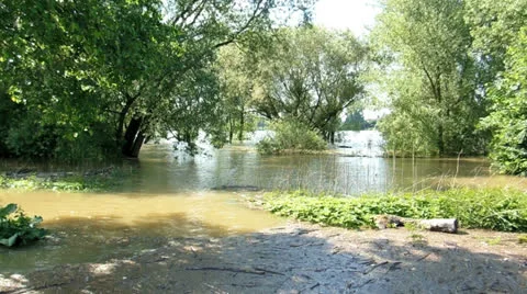 Rhine river flood Video stock 24619927