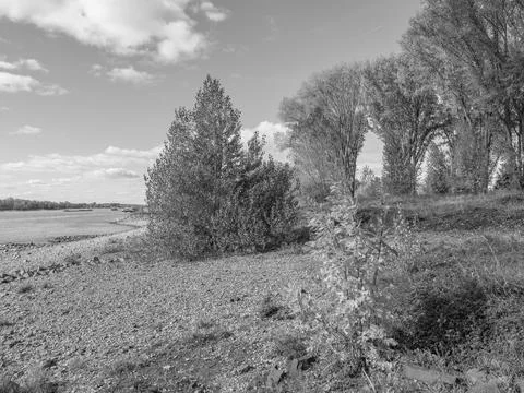The rhine river Stock Photos
