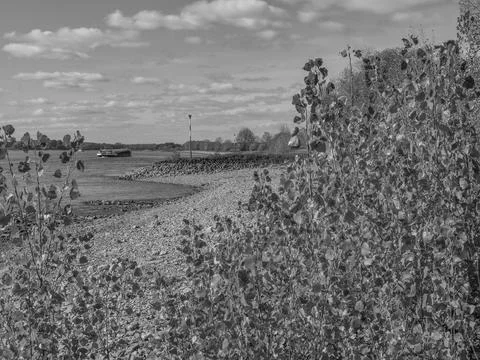 The rhine river Stock Photos