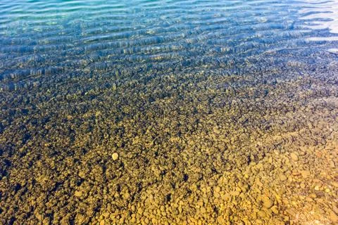 Rhine shells, clear water Stock Photos