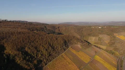 Rhine Valley Forest Fields Aerial Autumn Germany Boppard 動画素材 338409600