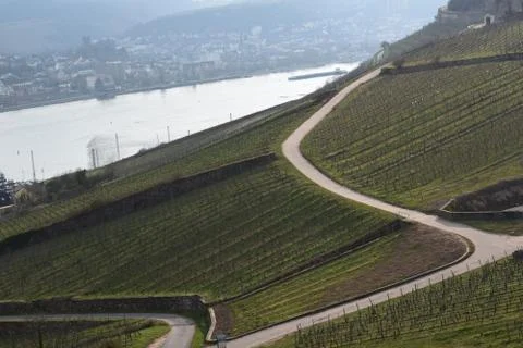 Rhine Valley Stock Photos