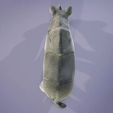 Rhino 3D Model