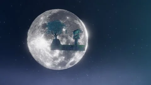 The Rhino and the Moon Stock Footage 287460088