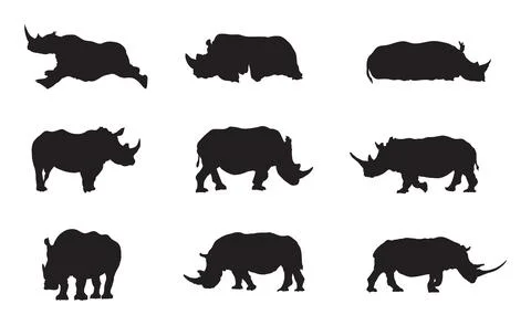 Rhino Collection Ilustración de archivo