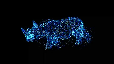 Rhino 動画素材 234378592