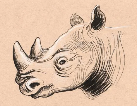 Rhino head Stock Illustration