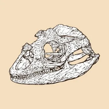Rhino iguana skull head vector illustration Stock Illustration