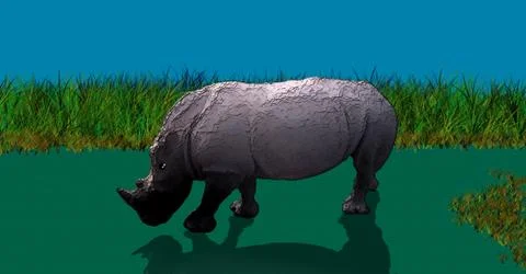Rhino Stock Illustration