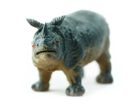 Rhino Stock Photos