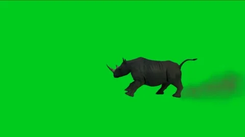 Rhino running with green background. Vidéo 11019053