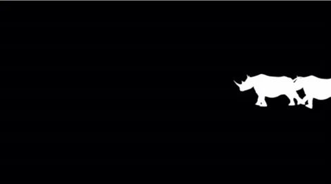 Rhino silhouette running. Stock Footage 28865626