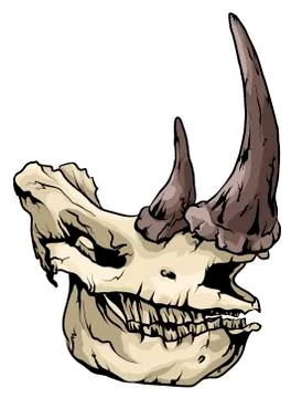 Rhino skull in vector graphic Stock Illustration