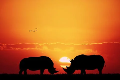 Rhino at sunset Stock Illustration