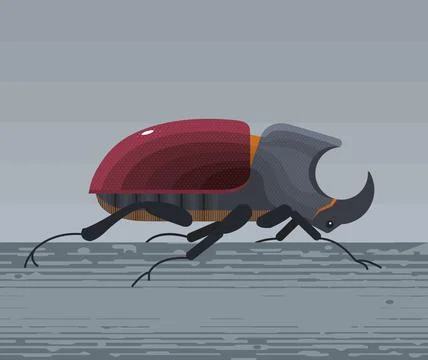 Rhinoceros beetle Stock Illustration