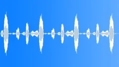 Rhinoceros Grunts Vintage 2 Sound Effect