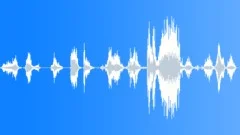 Rhinoceros Grunts Vintage Sound Effect
