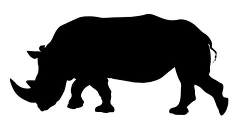 Rhinoceros Stock Illustration