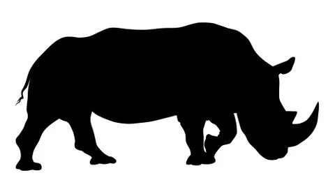Rhinoceros Stock Illustration