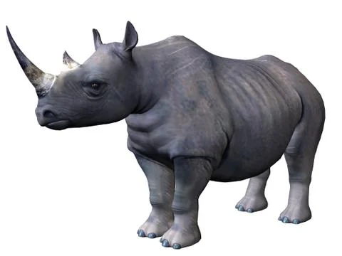 Rhinoceros イラスト素材