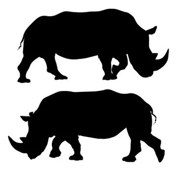 Rhinoceros Stock Illustration