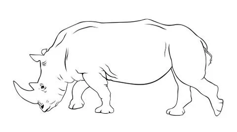 Rhinoceros Stock Illustration