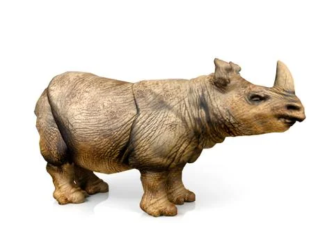 Rhinoceros Stock Illustration