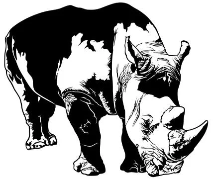 Rhinoceros Stock Illustration