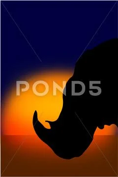 Rhinoceros silhouette at sunset Stock Illustration
