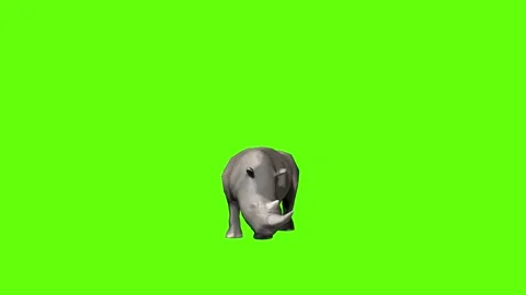 Rhinoceros simple attack  green screen animation 3D rendering Video stock 297491097
