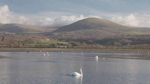 The Rhinogydd (Rhinogs) mountains in winter light, Gwynedd, North Wales, UK Video stock 324760846