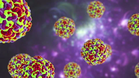 Rhinovirus particles, animation Stock Footage 178654756