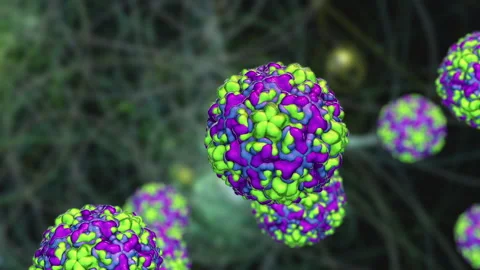 Rhinovirus particles, animation Stock Footage 178654966