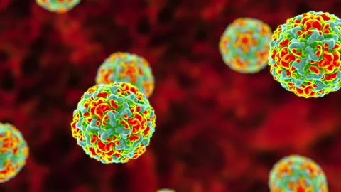 Rhinovirus particles, animation Stock Footage 178655410