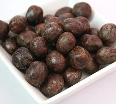 Rhizinus Stock Photos