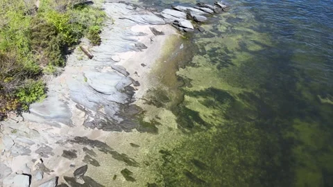 Rhode Island Spring Aerials: Warwick's Ocean Bay Captured by Drone Stock-Footage 240634237