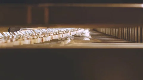 Rhodes Tines Stock Footage 95556113