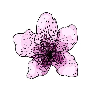 Rhododendron azalea sketch hand drawn vector Stock Illustration