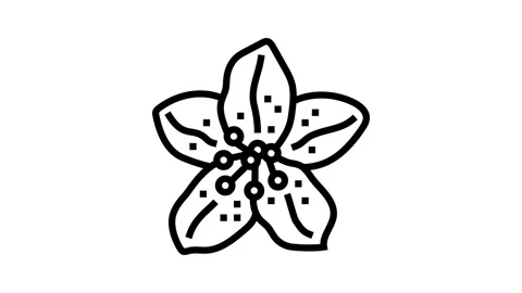 Rhododendron flower spring line icon animation Stock Footage 326135355