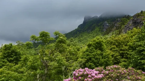 Rhododendron Mountain and Cloud Timelapse Vídeo Stock 98307266