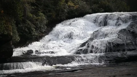Rhododendron waterfall Stock Footage 220807806