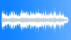 Rhododendrons 2 Stock Music