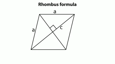 Rhombus with Area and Perimeter Stock Footage 318282345