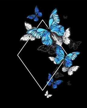Rhombus butterfly morpho Stock Illustration