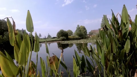 RHS GARDEN Hyde Hall Stock Footage 137349599