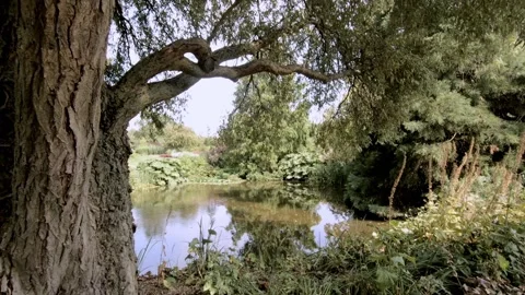 RHS GARDEN Hyde Hall Video stock 137350538