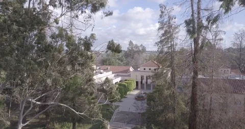 RHS Tree Push In Stock Footage 120781198