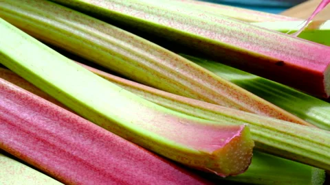 Rhubarb fresh Stock Footage 246550443